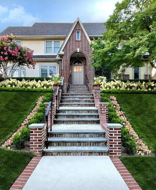 Hydrangeas 101: How to Help These Garden Favorites Thrive